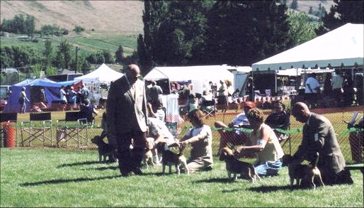 'WB lineup'