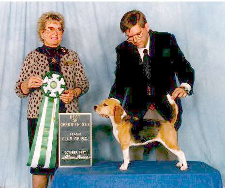 Am Ch Lanbur Coupe De Ville X Am Can Ch Brighton's Bright Star