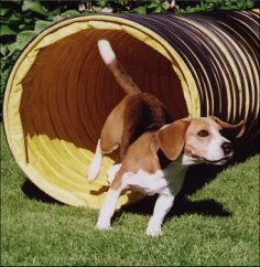 Duncan