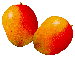 Mangoes
