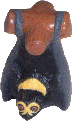 Spectacled Flying Fox