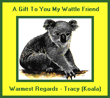 Tracy's Gift