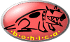 The Bojhicas