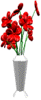 Flowers for Doreen