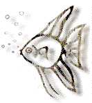 A fish
