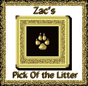 Zac's Pick of the Litter (12/24/97)