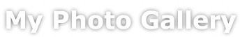 gallery.gif (5449 bytes)