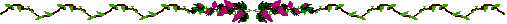 roses-separator