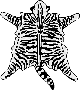 mackerel tabby (tigr)