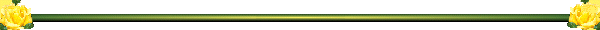 Divider Bar