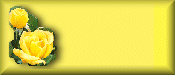 Blank Button