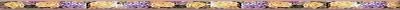 Divider Bar