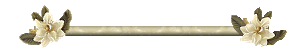 Divider bar