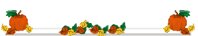 Divider Bar
