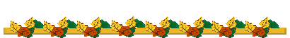 Divider Bar