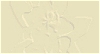 Embossed magnolia