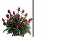 Red Rosebuds