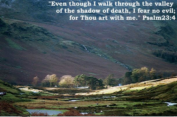 Psalm 23:4
