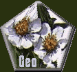 GeoCities