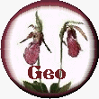 GeoCities