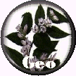 GeoCities
