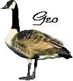 GeoCities