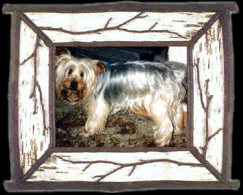 Murphy