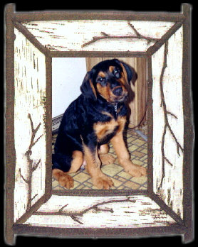ZIGGY