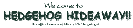 Welcome to Hedgehog Hideaway