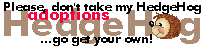 Hedgehog Adoptions