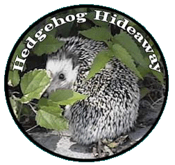 Hideaway Photo