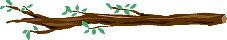 Branch