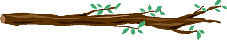 Branch