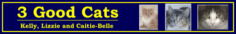 3 Good Cats (10801 bytes)