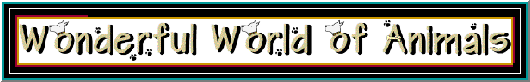 Animals (7378 bytes)