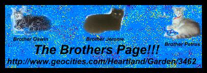 The Brother's Banner (25937 bytes)