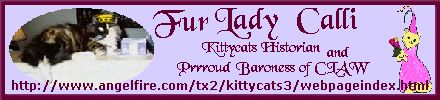 Calli's Banner (13072 bytes)