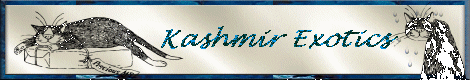 Kashmir Exotics (65899 bytes)