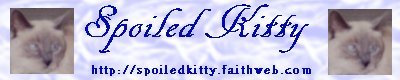 Sassy Banner(12378 bytes)