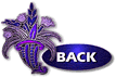 Back to the main page
