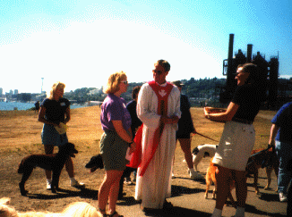 Dogs and humans gathered together