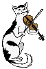 Kitty Fiddler