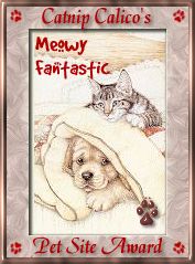 Meowy Fantastic Award
