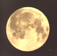 The Moon
