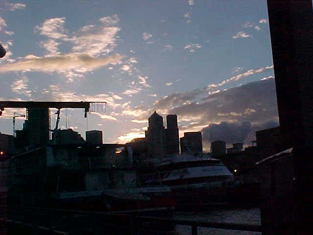 Dawn silhouettes