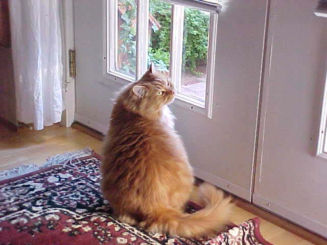 Ember, wanting Out