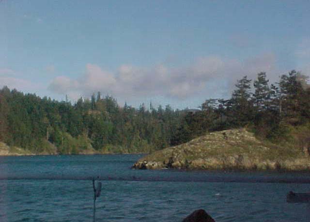 More trees on the shoreline