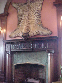 Bengal Lounge tiger skin