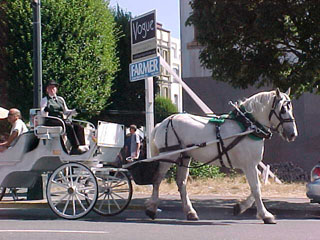 Horse and carriage
