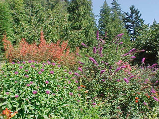 Gardens